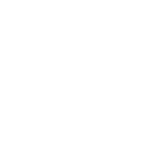 ISO27001_2_BLANC